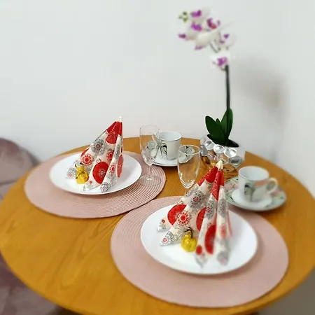 Apartamento Janine Braşov